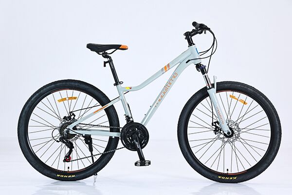 Xe đạp địa hình thể thao California Modeltime Durian 2023